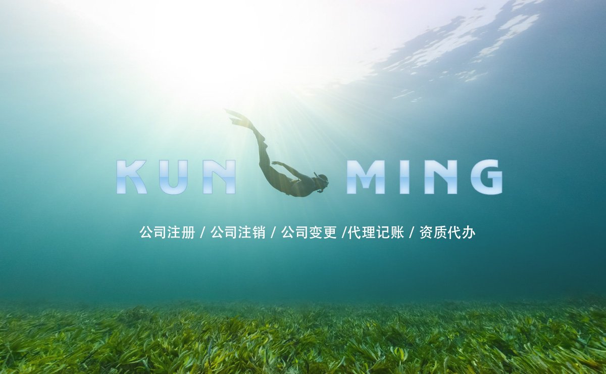 昆明公司成立注册分公司