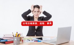 一篇文章看懂[公司注销的原因有哪些，流程是什