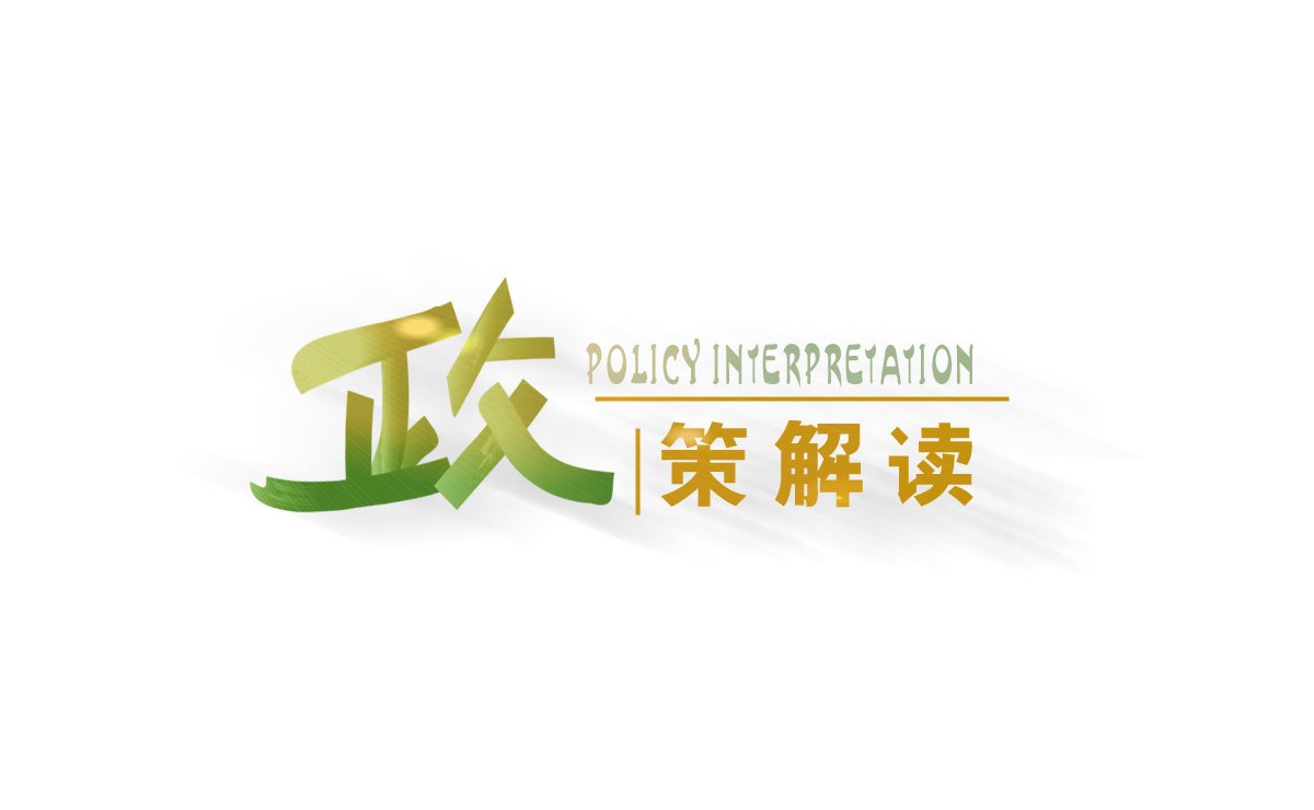 政策解读