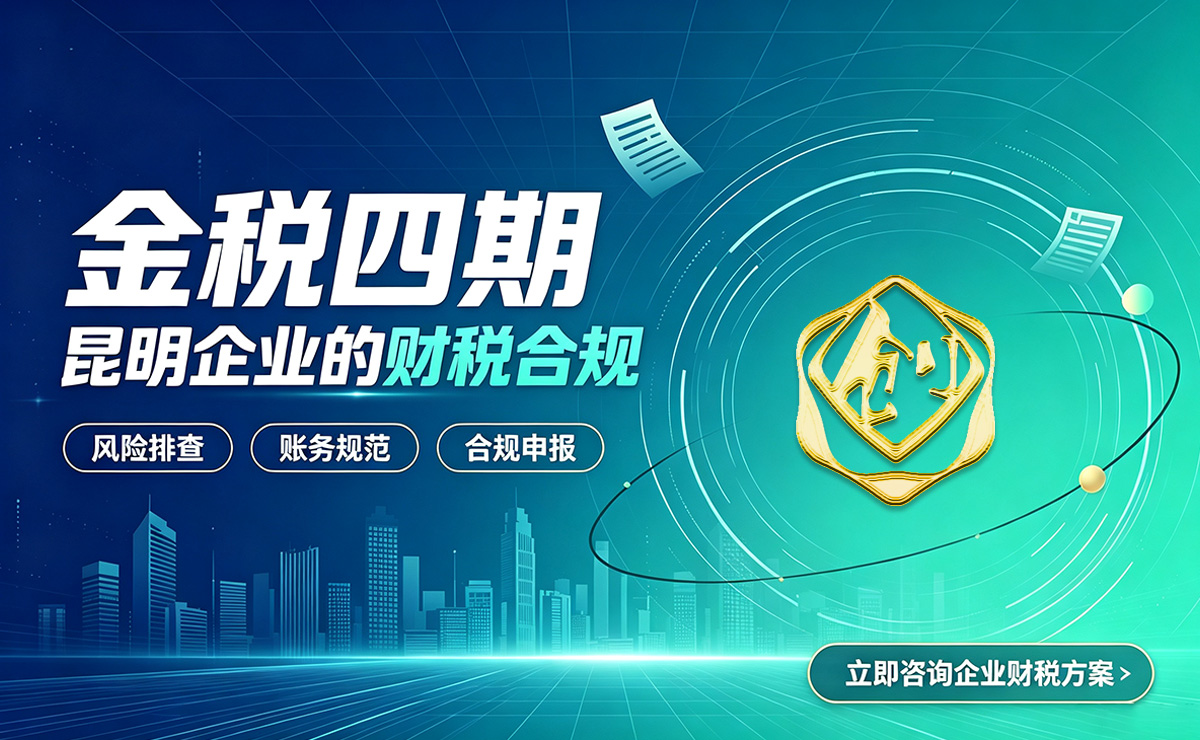 滇创财务金税四期