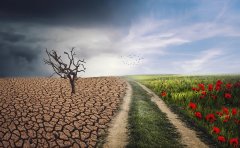 <b>为什么你营业执照转让不通过？</b>