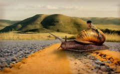 <b>自己按照步骤办理营业执照为什么还那么慢？</b>